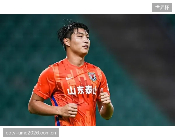 韩国队旅欧球员数量创新高,后防线李韩范等新星崛起改变了以往头重脚轻的局面。 韩国队旅欧球员数量创新高,后防线李韩范等新星崛起改变了以往头重脚轻的局面。